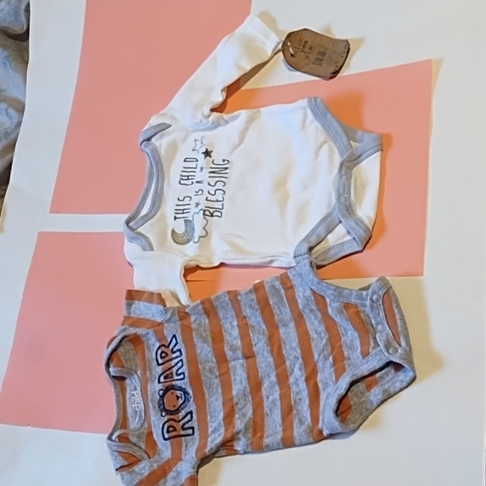 Child of Mine Gray and Chick Pea White Baby Bodysuit (Set Of 2)